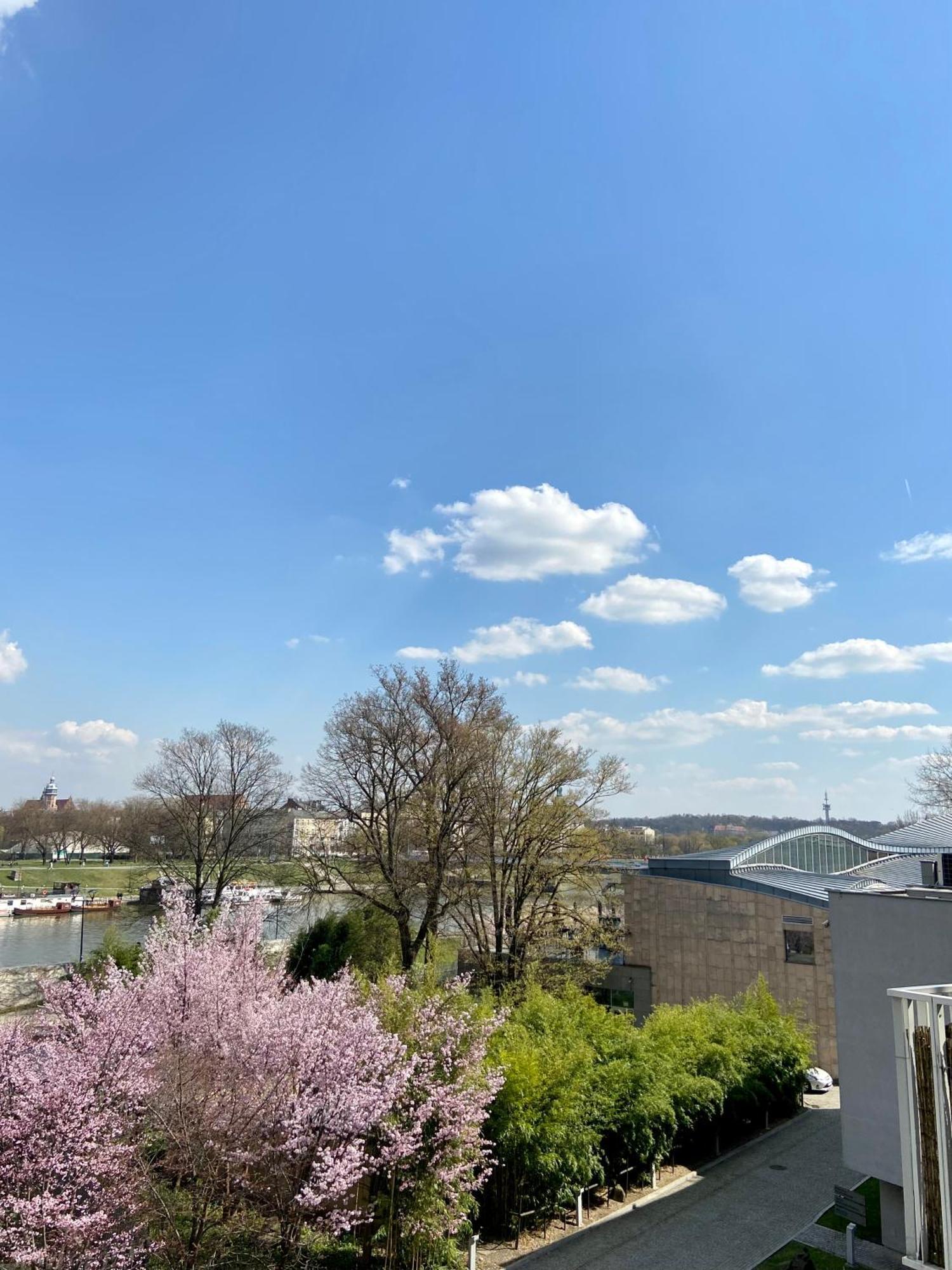 Apartamenty Manggha Residence Krakkó Kültér fotó